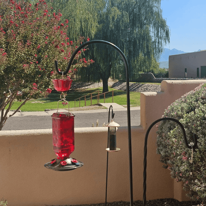 💥Hummingbird Feeder - Leak-proof seal