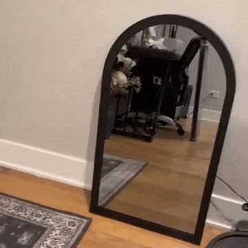 🔥49% OFF - 👻2025 Halloween Hologram Ghost Mirror