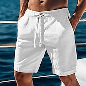 2025 new men's simple solid color shorts